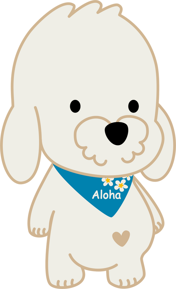 Aloha Koko & Friends