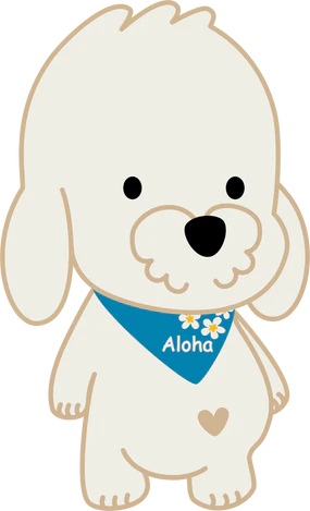 Aloha Koko & Friends